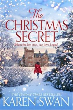 Swan Karen «Christmas Secret»