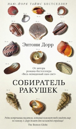 <b>   </b>